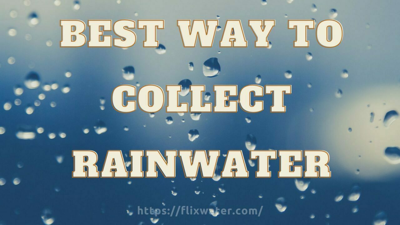 Best Way To Collect Rainwater